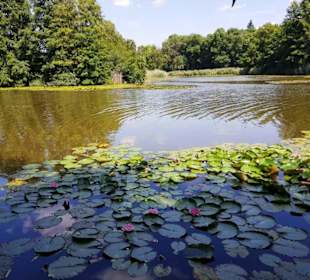 Ausläufer vom See