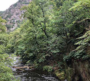 Wandern Thale