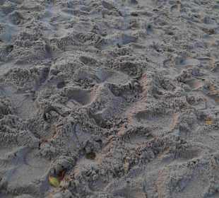 Strand Kolberg/Kolobrzeg