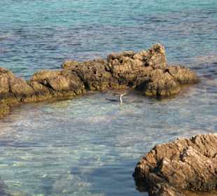 Cala Agulla