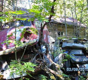 Autofriedhof am Foxen