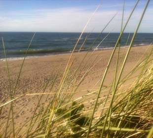 Kurische Nährung Strand