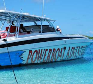 Mit dem Powerboat zum Hai tauchen