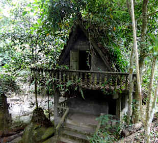 Magic Garden