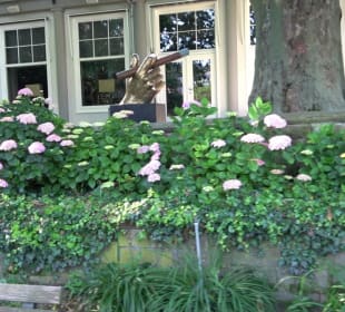 Stadtgarten Heidelberg