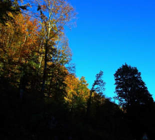 Gegend um Weidmannsgesees