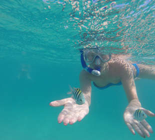 Schnorcheln