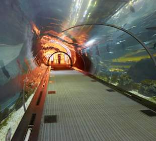 Aquarium