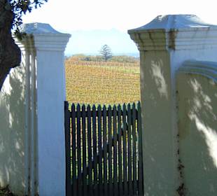 Weingut Groot Constantia