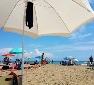 Am Hundestrand freier Bereich