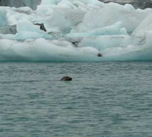 Laguna glaciale di Jökulsárlón 