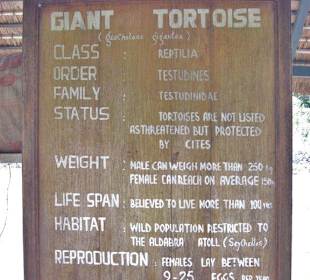 Schildkröten