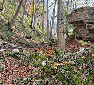 Wandern Läufelfingen