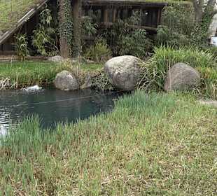Zoologischer Stadtgarten