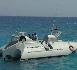 Ausflug zu den Fischen und Korallen