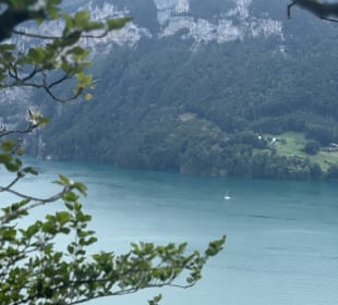 Ausblick