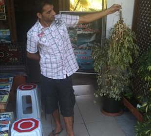 Der Chef präsentiert seinen Erdnussbusch