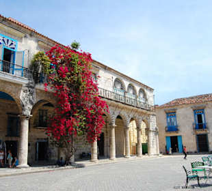 Plaza de la Catedral