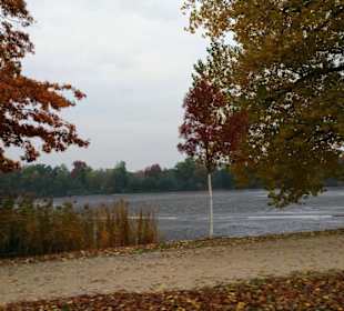 Kleiner Dutzendteich