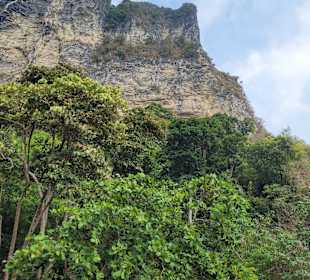 Monkey Trail