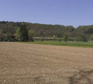 Waldlehrpfad an der Lauter