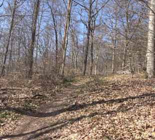 Geologischer Lehrpfad Kirnbachtal