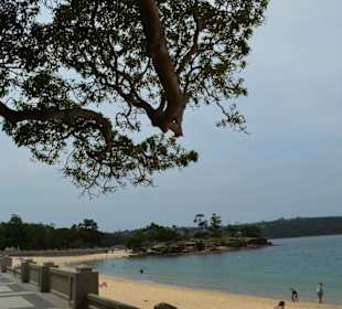 Balmoral Beach 