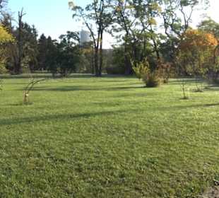 Botanischer Garten