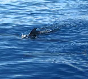 Widoki w trakcie rejsu