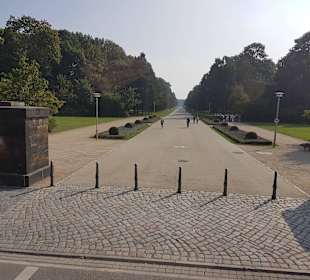 Stadtpark in Dreseden