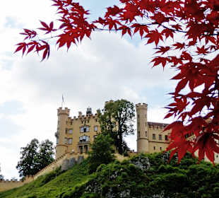 Schloss Hohenschwangau