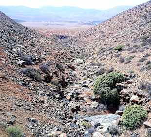 Tagesausflug Inselrundfahrt