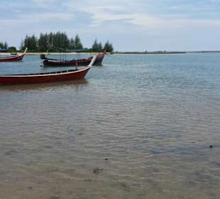 Ausblickauf die Muschelbank