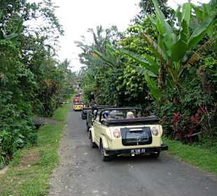 Kübelwagen Karawane