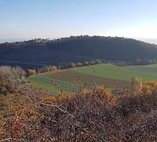 Tolle Herbstlandschaft