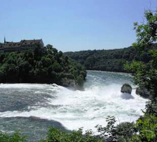 Oberer Bereich mit Auslauf hinten