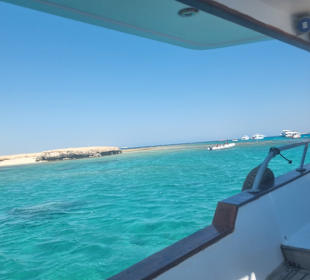 Delfin Tour Hurghada