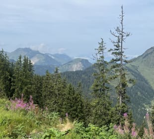 Sport & Freizeit