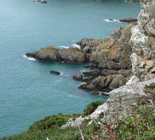 Eindrücke am Klippenpfad