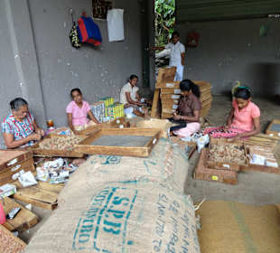 Frauen beim Zigaretten machen