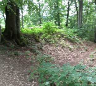 Burg Alt-Lichtenstein