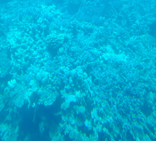 Glasbodenboot Tour Hurghada