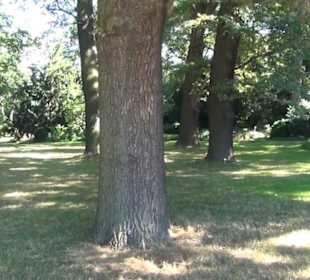 Eichenhain- Berggarten