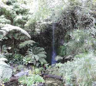 Eden Garden ein Paradies mitten in der Stadt