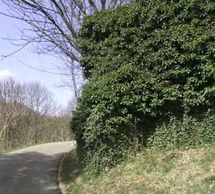 Friedhof Buttenhausen
