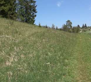 Premiumwanderweg Hochgehschätzt