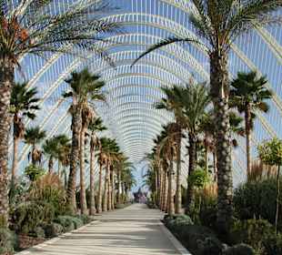L'Umbracle