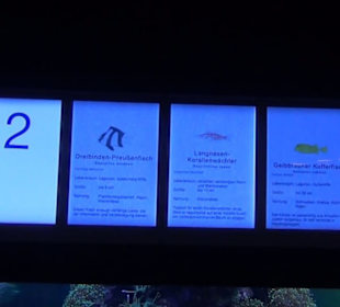 Meeresmuseum Stralsund