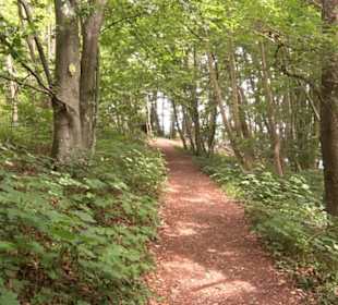 Hochgeträumt Premiumwanderung