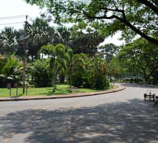 Lumphini Park